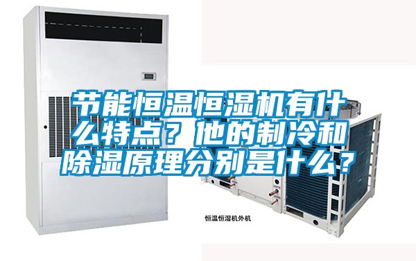 節(jié)能恒溫恒濕機(jī)有什么特點(diǎn)？他的制冷和除濕原理分別是什么？