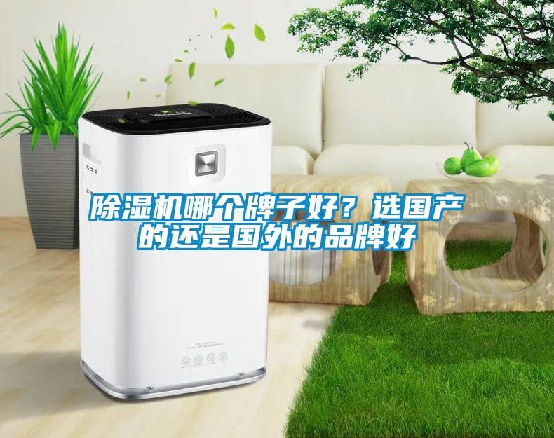 除濕機(jī)哪個(gè)牌子好？選國(guó)產(chǎn)的還是國(guó)外的品牌好