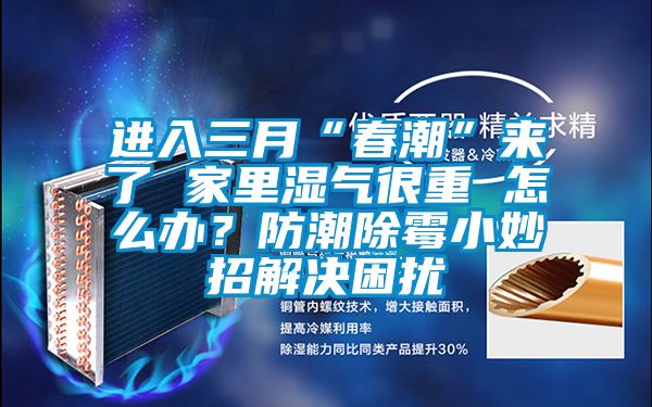 進(jìn)入三月“春潮”來了 家里濕氣很重 怎么辦？防潮除霉小妙招解決困擾