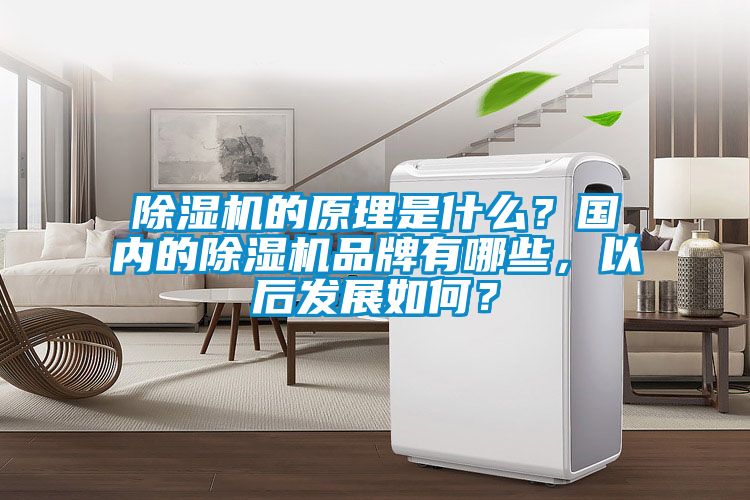 除濕機的原理是什么？國內(nèi)的除濕機品牌有哪些，以后發(fā)展如何？