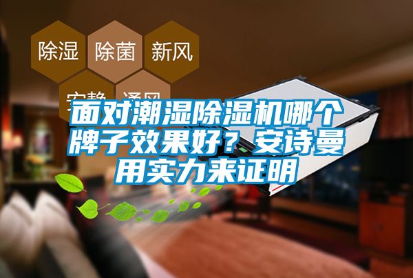 面對潮濕除濕機哪個牌子效果好？安詩曼用實力來證明