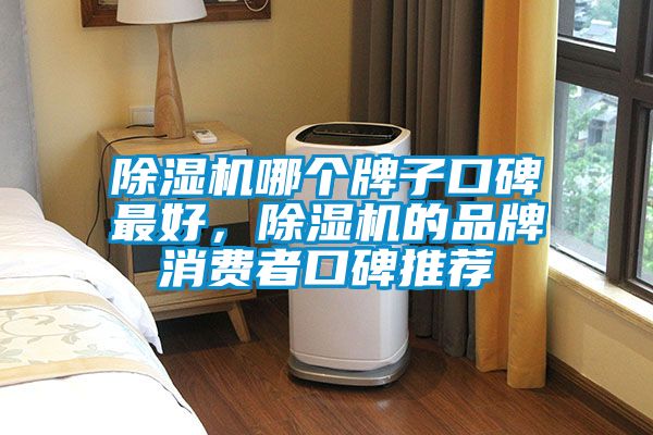 除濕機(jī)哪個牌子口碑最好，除濕機(jī)的品牌消費者口碑推薦