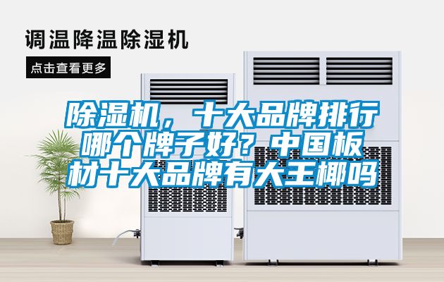 除濕機(jī)，十大品牌排行哪個(gè)牌子好？中國(guó)板材十大品牌有大王椰嗎
