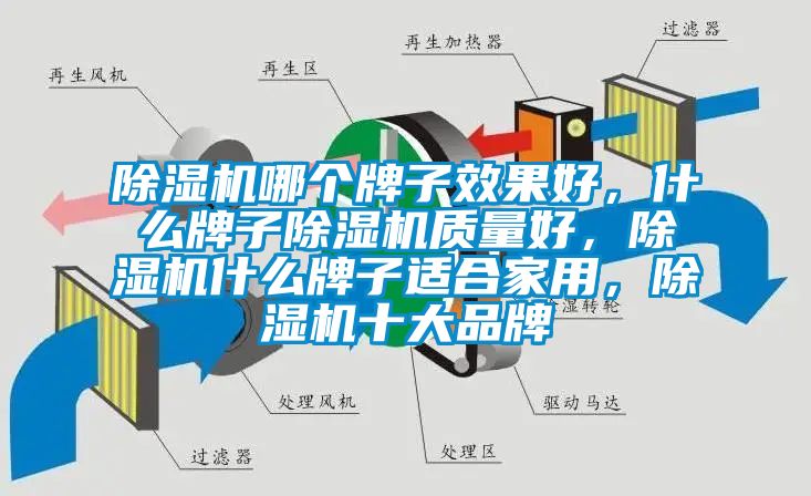 除濕機(jī)哪個(gè)牌子效果好，什么牌子除濕機(jī)質(zhì)量好，除濕機(jī)什么牌子適合家用，除濕機(jī)十大品牌