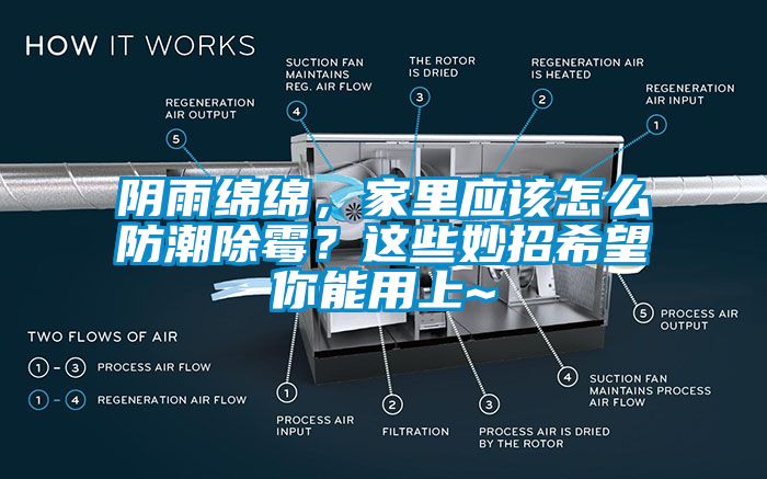 陰雨綿綿，家里應(yīng)該怎么防潮除霉？這些妙招希望你能用上~