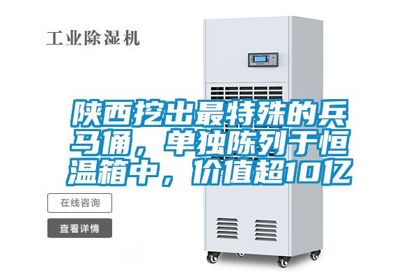 陜西挖出最特殊的兵馬俑，單獨陳列于恒溫箱中，價值超10億