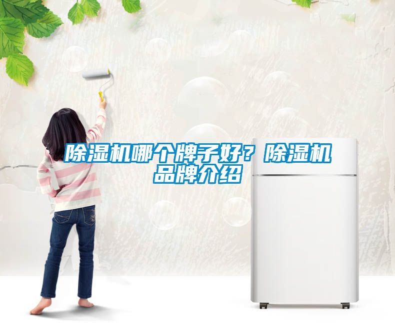 除濕機(jī)哪個(gè)牌子好？除濕機(jī)品牌介紹