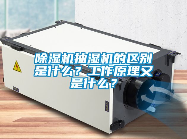 除濕機(jī)抽濕機(jī)的區(qū)別是什么？工作原理又是什么？