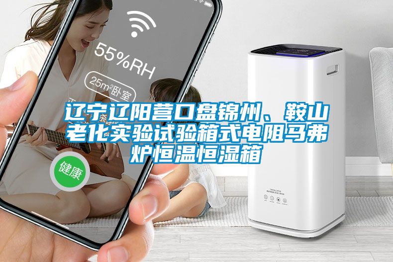 遼寧遼陽營(yíng)口盤錦州、鞍山老化實(shí)驗(yàn)試驗(yàn)箱式電阻馬弗爐恒溫恒濕箱