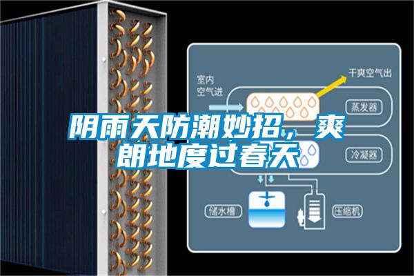 陰雨天防潮妙招，爽朗地度過春天