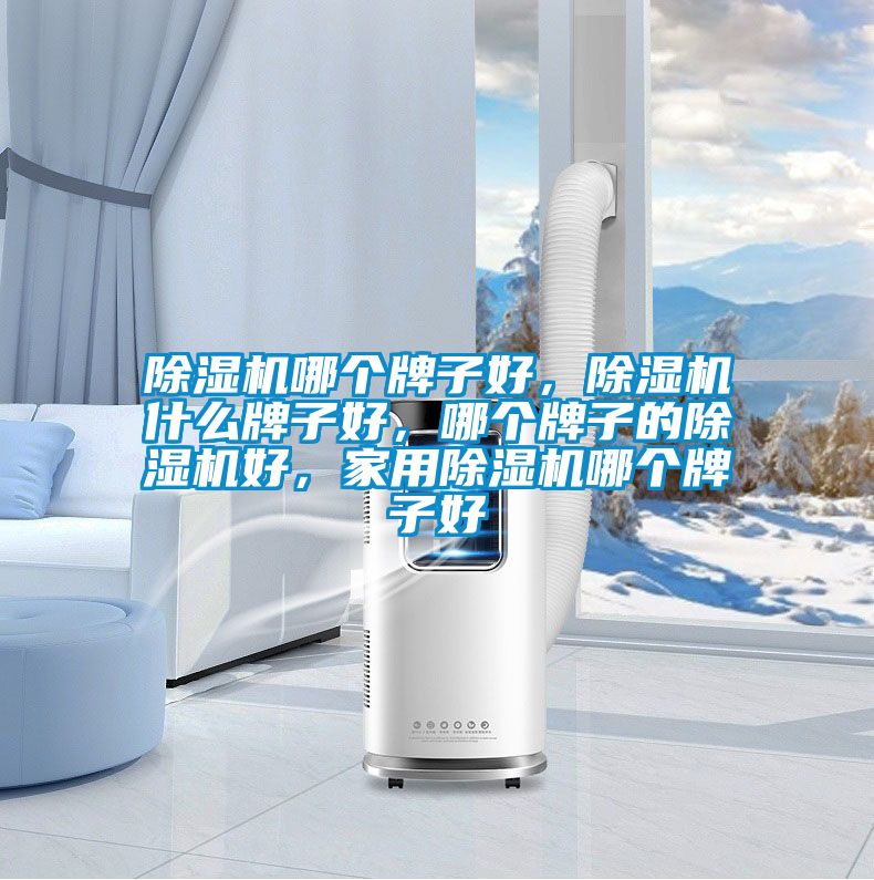 除濕機(jī)哪個(gè)牌子好，除濕機(jī)什么牌子好，哪個(gè)牌子的除濕機(jī)好，家用除濕機(jī)哪個(gè)牌子好
