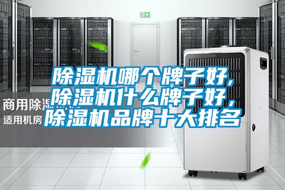 除濕機哪個牌子好,除濕機什么牌子好，除濕機品牌十大排名