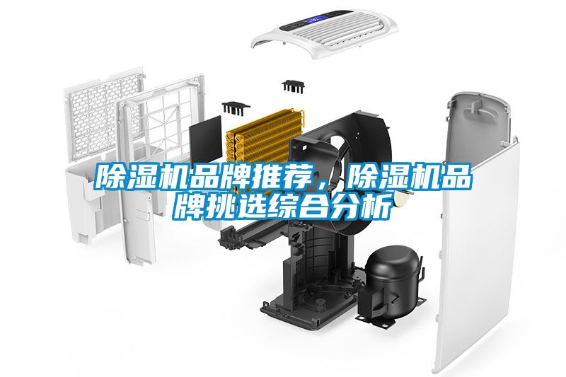 除濕機(jī)品牌推薦，除濕機(jī)品牌挑選綜合分析