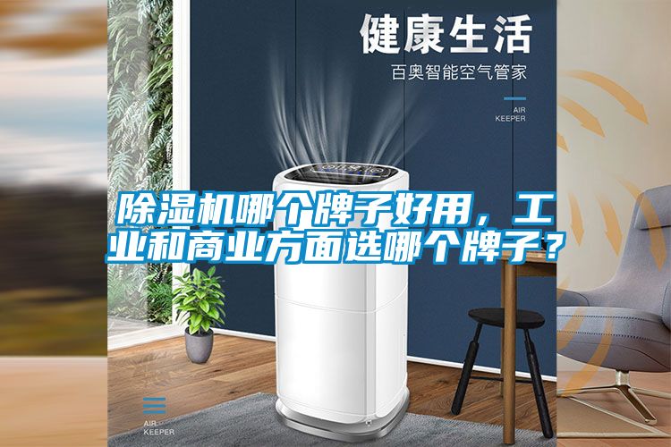除濕機(jī)哪個(gè)牌子好用，工業(yè)和商業(yè)方面選哪個(gè)牌子？