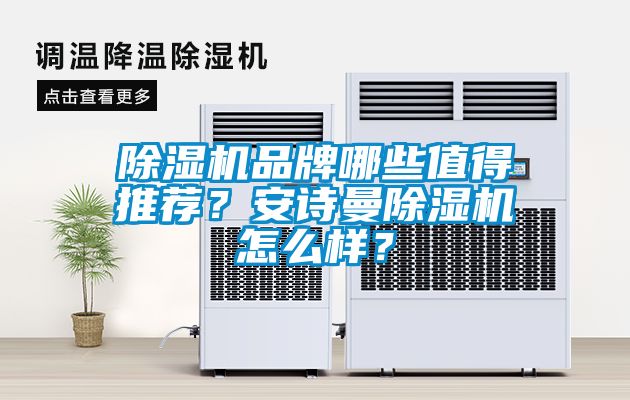 除濕機(jī)品牌哪些值得推薦？安詩曼除濕機(jī)怎么樣？