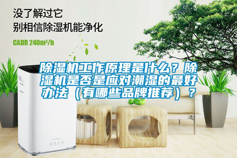 除濕機工作原理是什么？除濕機是否是應對潮濕的最好辦法（有哪些品牌推薦）？