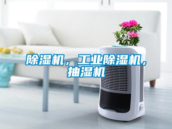 除濕機(jī)，工業(yè)除濕機(jī)，抽濕機(jī)