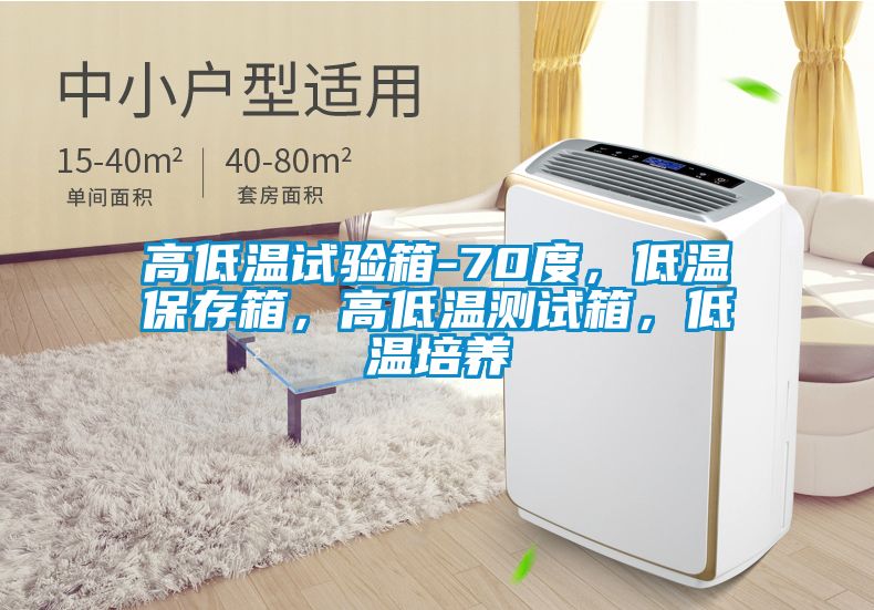 高低溫試驗(yàn)箱-70度，低溫保存箱，高低溫測(cè)試箱，低溫培養(yǎng)