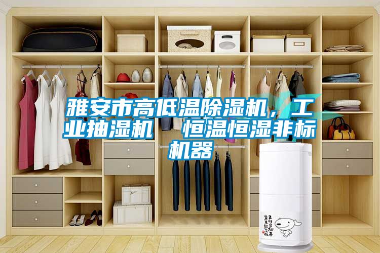 雅安市高低溫除濕機，工業(yè)抽濕機  恒溫恒濕非標機器