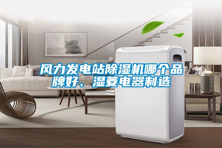 風(fēng)力發(fā)電站除濕機(jī)哪個(gè)品牌好、濕菱電器制造