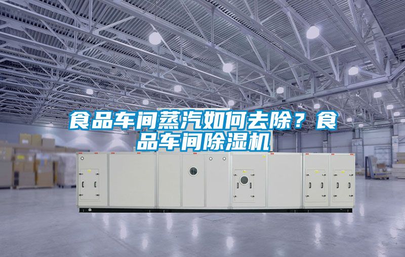 食品車(chē)間蒸汽如何去除？食品車(chē)間除濕機(jī)