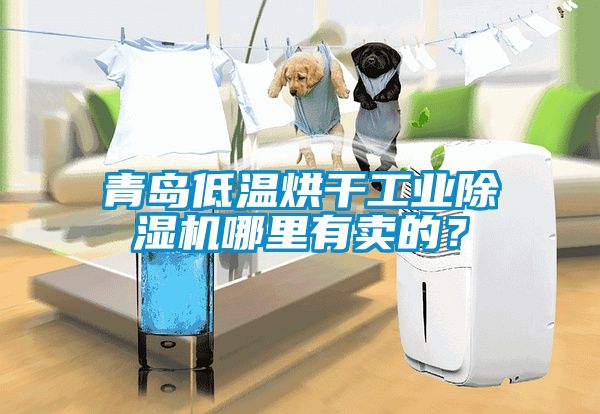 青島低溫烘干工業(yè)除濕機哪里有賣的？