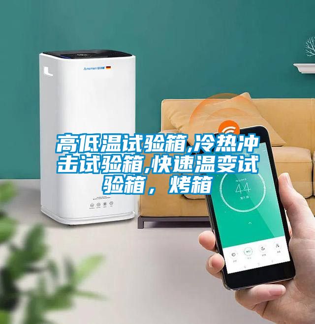 高低溫試驗(yàn)箱,冷熱沖擊試驗(yàn)箱,快速溫變?cè)囼?yàn)箱，烤箱