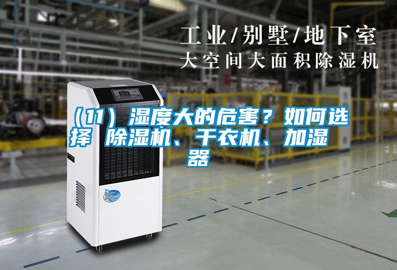 （11）濕度大的危害？如何選擇 除濕機(jī)、干衣機(jī)、加濕器