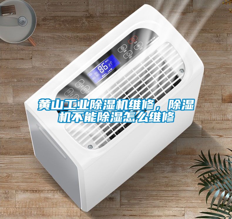 黃山工業(yè)除濕機(jī)維修，除濕機(jī)不能除濕怎么維修