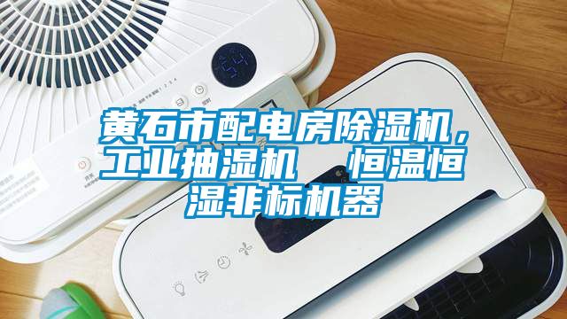 黃石市配電房除濕機(jī)，工業(yè)抽濕機(jī)  恒溫恒濕非標(biāo)機(jī)器
